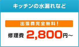 キッチンの水漏れなど