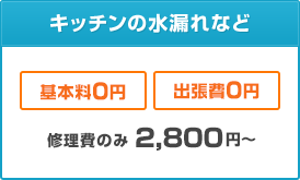キッチンの水漏れなど
