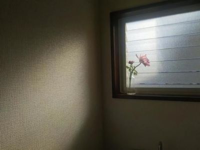 トイレの窓に結露が発生する原因と対策